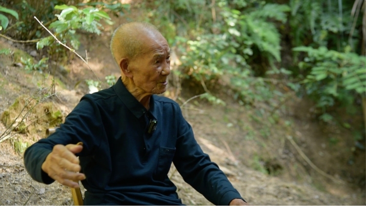 山河铭记 和平永续｜芷江：从血火壁垒到和平丰碑_fororder_2025080410194448038