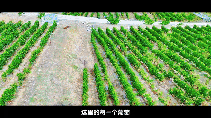辉煌60年·遇见高原的城｜格桑达瓦带你游桑日