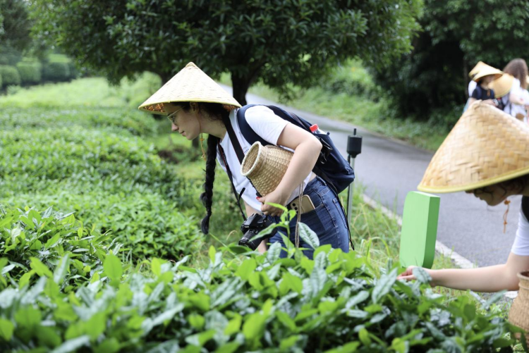 长沙理工大学举办黑山大学孔子学院“汉语桥”夏令营_fororder_图片2