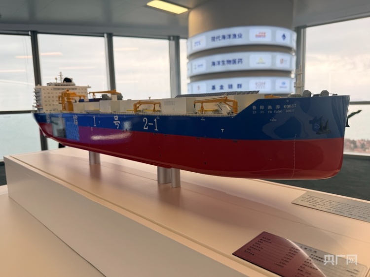 牢记嘱托 逐梦深蓝｜从“国信1号”到三船联动 “深远海养殖舰队”书写蓝色粮仓新答卷