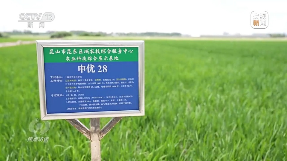 焦点访谈丨良田+良种+良机+良法 来看各地保丰收秘籍