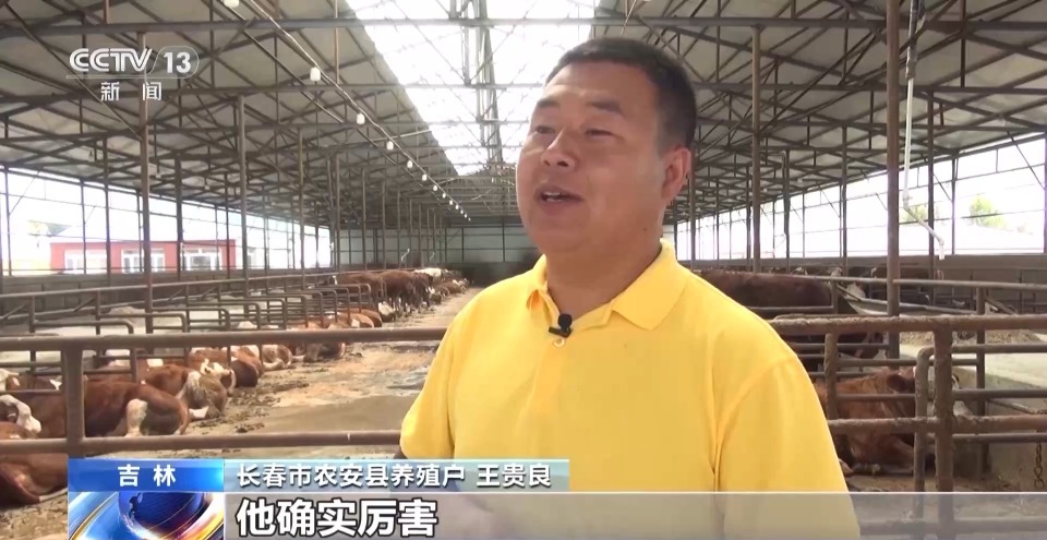 一线调研丨带动21.5万农户养牛致富 这家民企如何牵住“牛鼻子”？