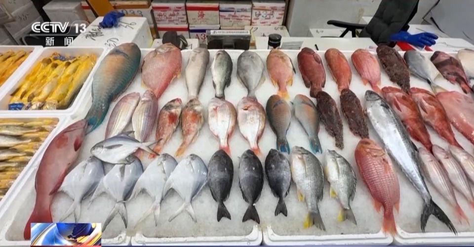 视频丨民间埋怨 学界斥责 多国批判 高市错误言论陷四面楚歌