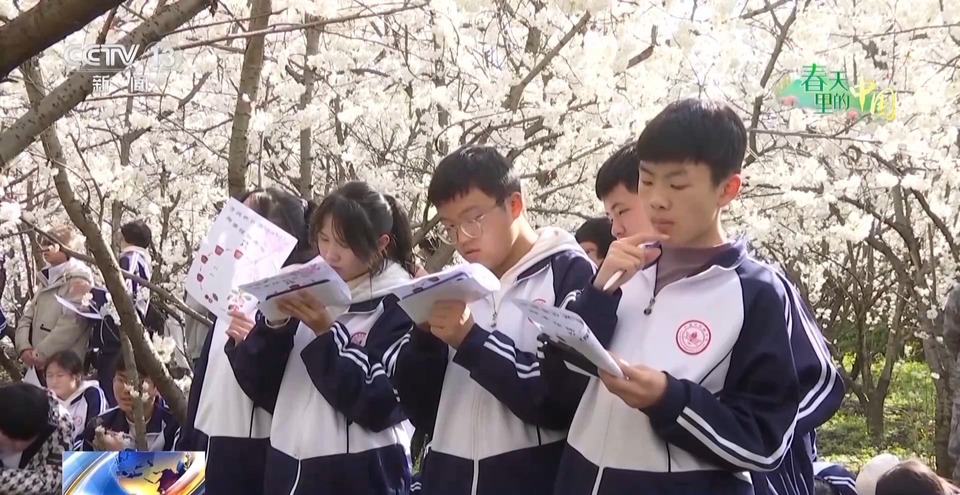 春日限定花海上线 赶紧来这些宝藏地打卡吧