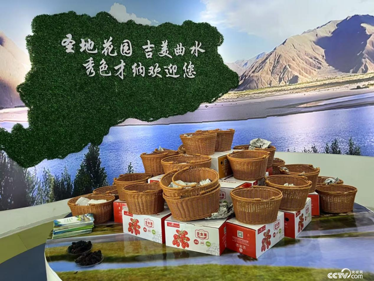 辉煌60年•我们的家园│行走在高原之上：触摸新时代幸福西藏的脉搏——“辉煌60年·我们的家园 幸福美丽西藏”网络主题活动手记