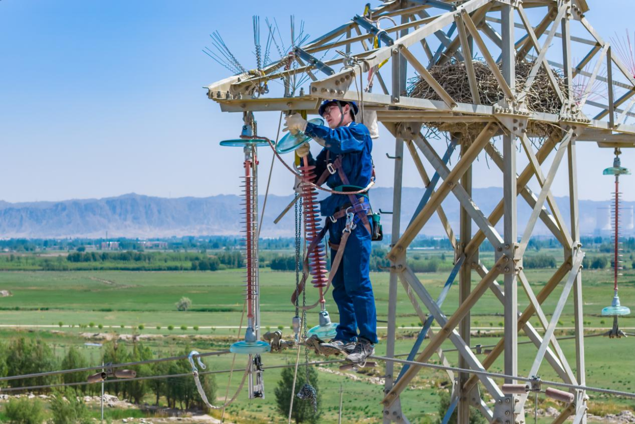 State Grid Zhangye Power Supply Company: Protecting Migratory Birds and Promoting Biodiversity_fororder_图片6