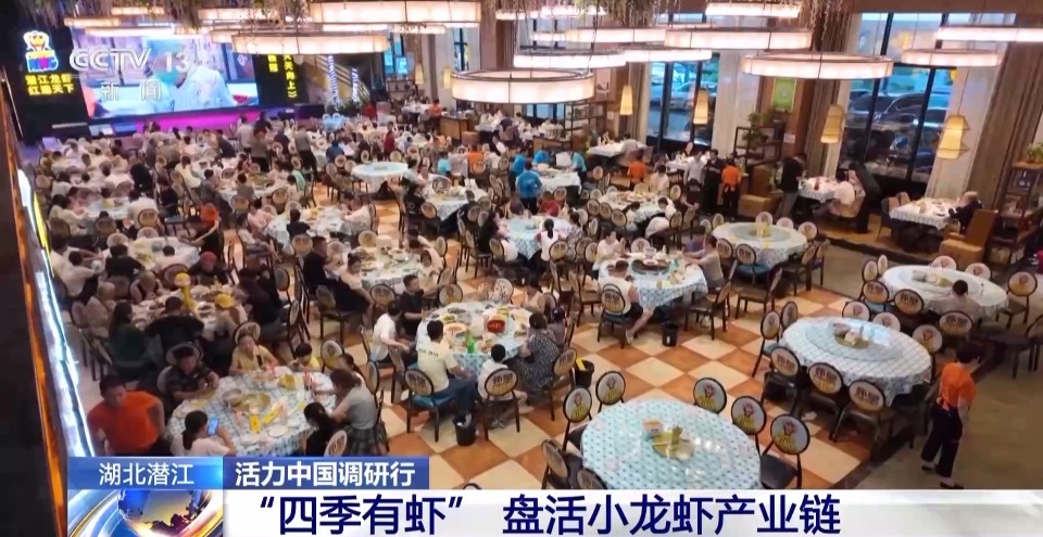 活力中国调研行丨湖北潜江大个儿“炮头虾”正“四季速达”你的餐桌