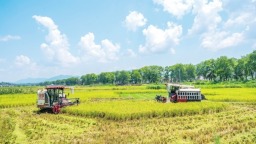 湖南“双抢”拉开序幕