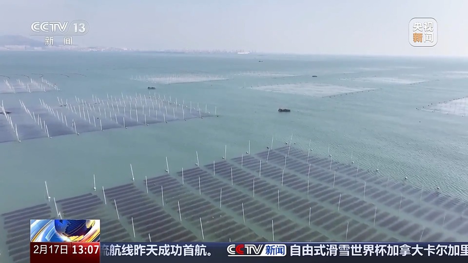 马力十足！春耕备耕忙 无人机“上岗”助力