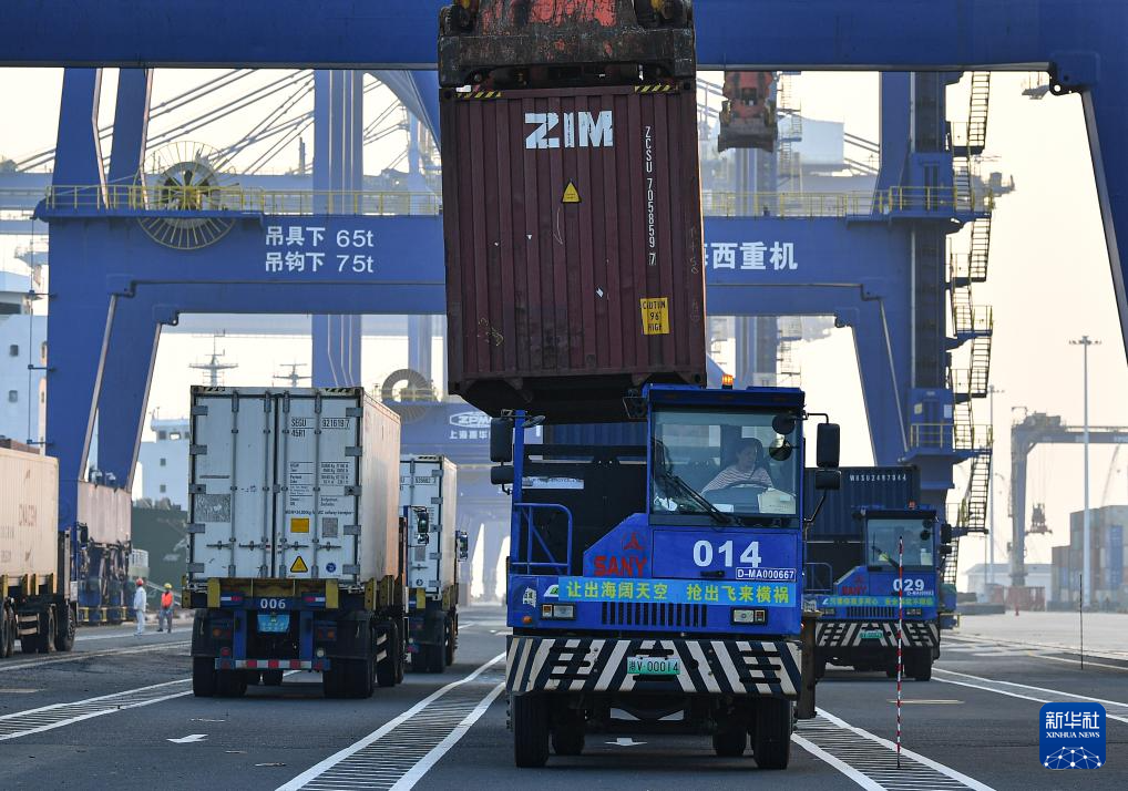 新华全媒+｜洋浦港2024年集装箱吞吐量首破200万标箱