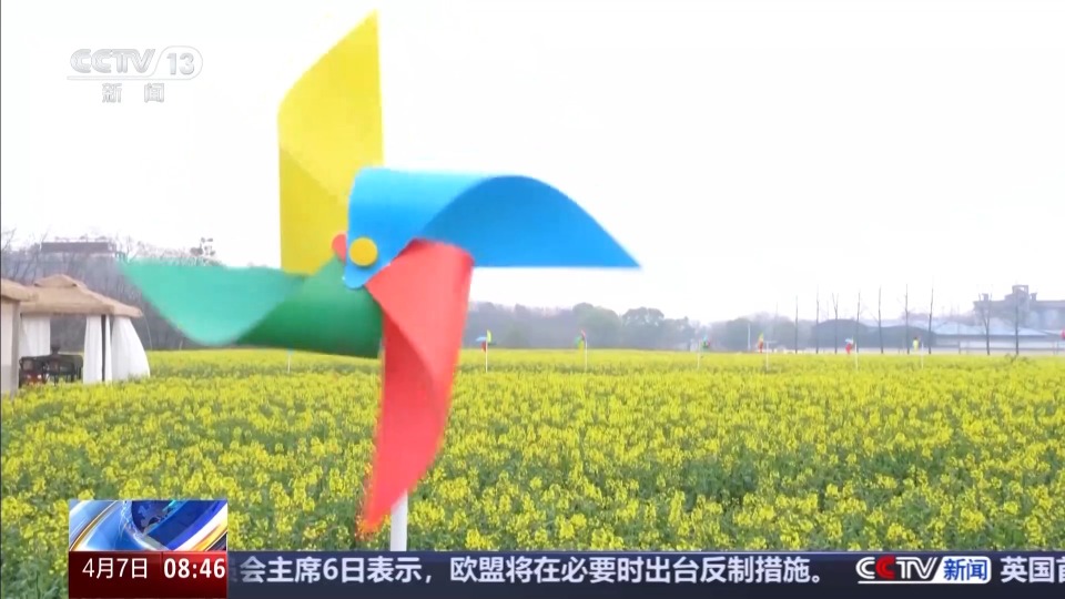 以花为媒 农耕文化玩出了新花样