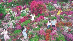 十年花事引来客满溪边