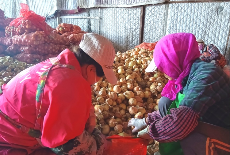 高质量发展看中国|绿色通道达境外 输送三江“一口鲜”