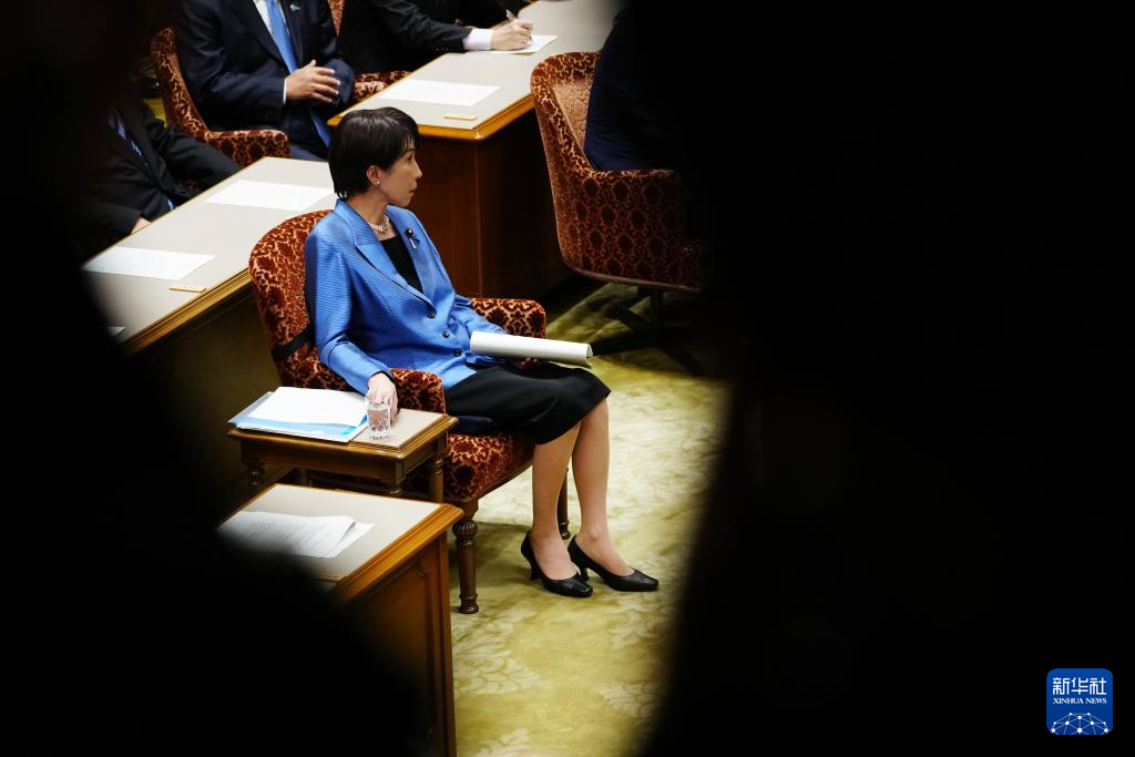 热点问答丨高市早苗为何要提前大选