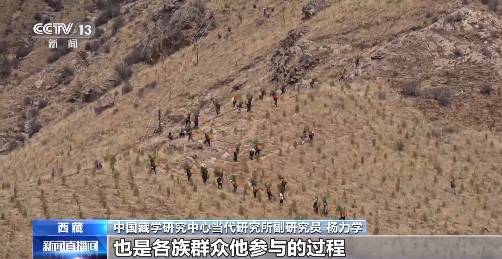 4年栽植苗木1.2亿多株 看拉萨高原如何披“绿装”