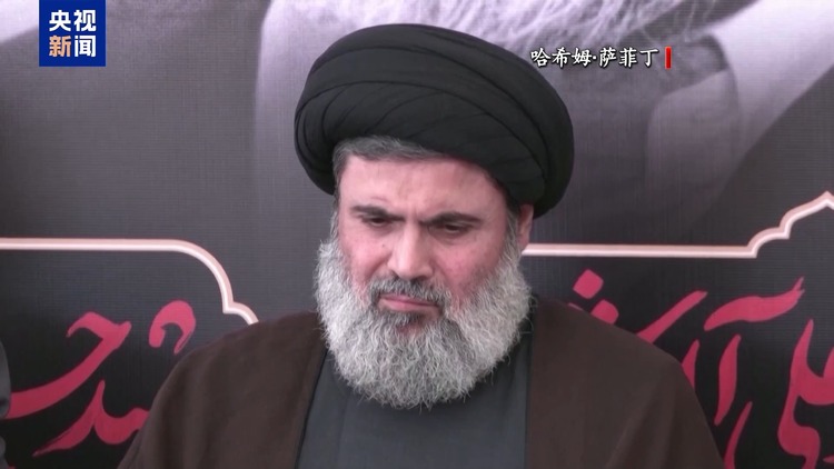 誓言“打败敌人” 真主党新任领导人纳伊姆·卡西姆是谁？