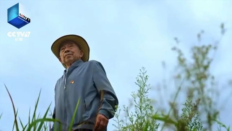 致敬新中国每一个奋斗者！纪录片《新中国——平凡而闪光的足迹》今晚CCTV-9开播