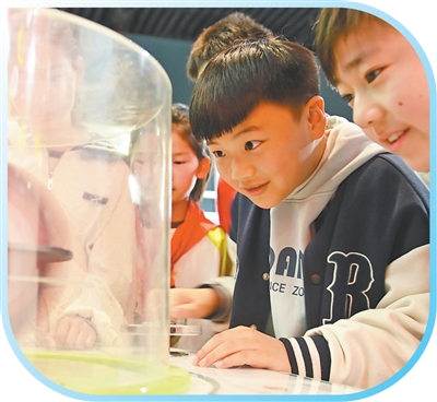 多措并举，让春假更有温度——奔赴春光 乐享成长（视线）