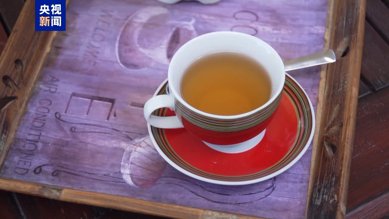 国际茶日丨记者Vlog：来自泰坦神居所的希腊山茶