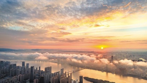 图片默认标题