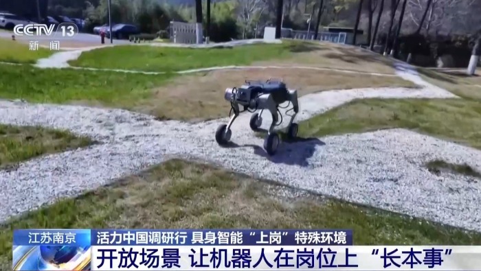 活力中国调研行丨机器人搭档机器狗 完成特殊消防演习