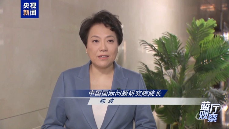 蓝厅观察丨从这场记者会读懂中国外交的坚定从容