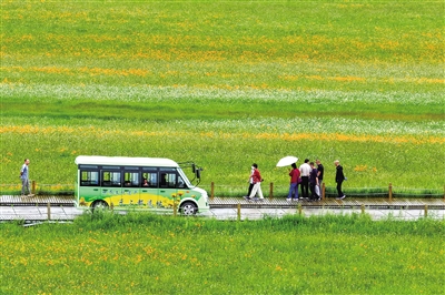 雨中漫游金莲川_fororder_4131345_wangxia_1753625247967_b