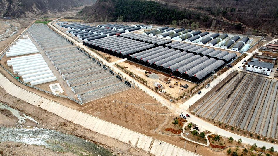 天水市清水县：食用菌产业“多点开花”乡村振兴“菇”舞人心_fororder_DJI_0008_副本