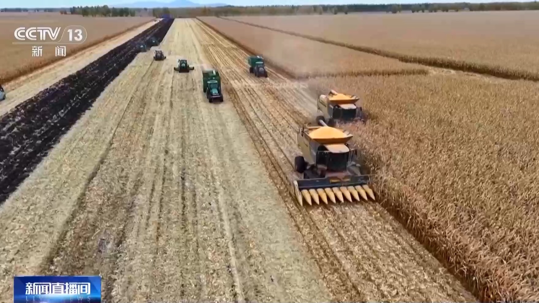 秋收进入冲刺阶段 各地多举措确保粮食“颗粒归仓”