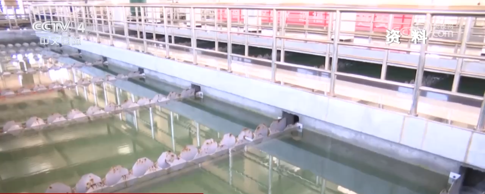 多项新规12月1日起施行 事关每个人日常生活