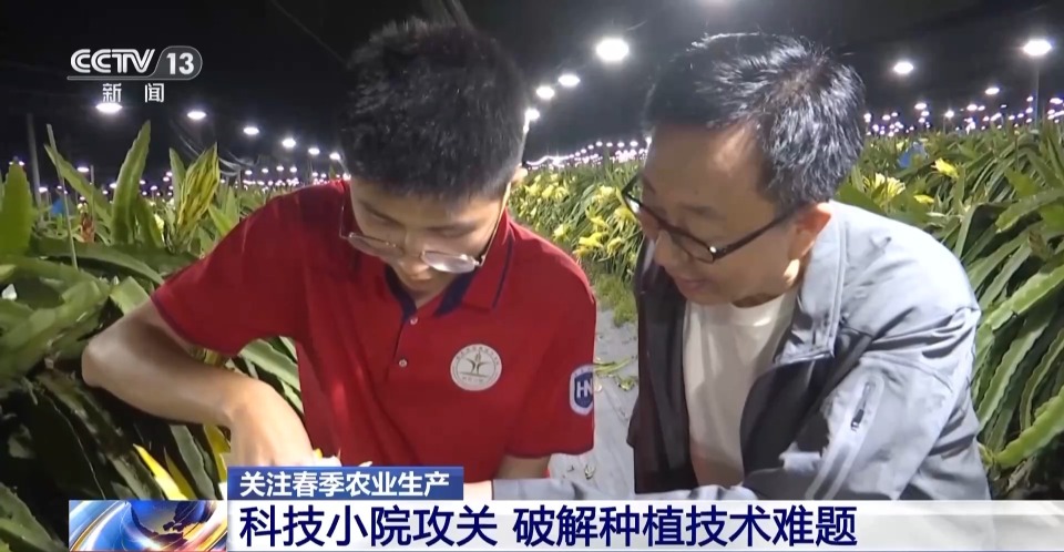 打造“田间实验室” 海南科技小院破解热带水果种植难题