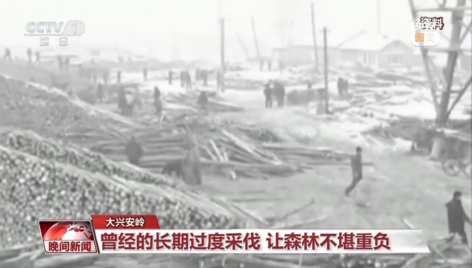 看见美丽中国丨停伐十年 看“绿色宝库”大兴安岭的转型路→