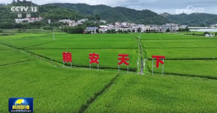 【新思想引领新征程】严守耕地红线 提升耕地质量