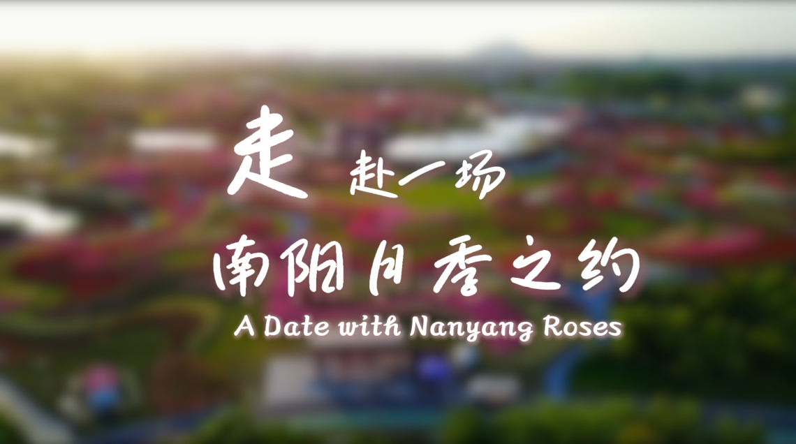 【鲜味中国·夏溢】走，赴一场南阳月季之约_fororder_0610封面(1)(1)