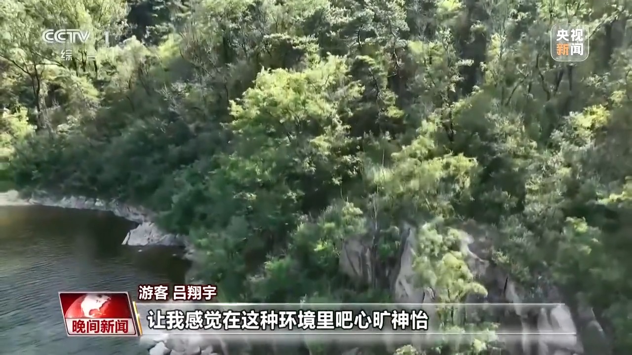 看见美丽中国丨炸水泥厂、种万棵树！“石头村”20年逆袭97%森林覆盖