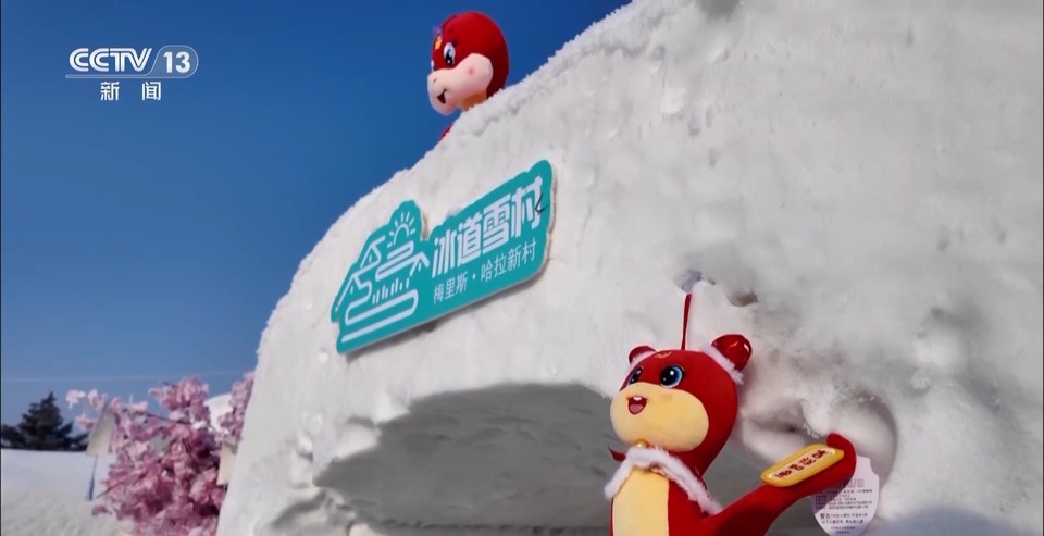 蛇宝宝为啥“兔里兔气”？看看不一样的低碳新“年味”