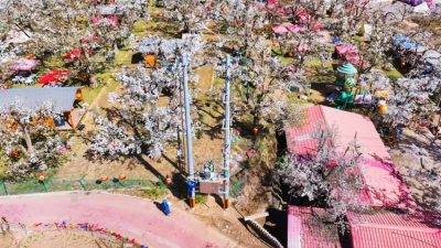 Reliable Power Supply Supports Pear Blossom Festival in Gaolan