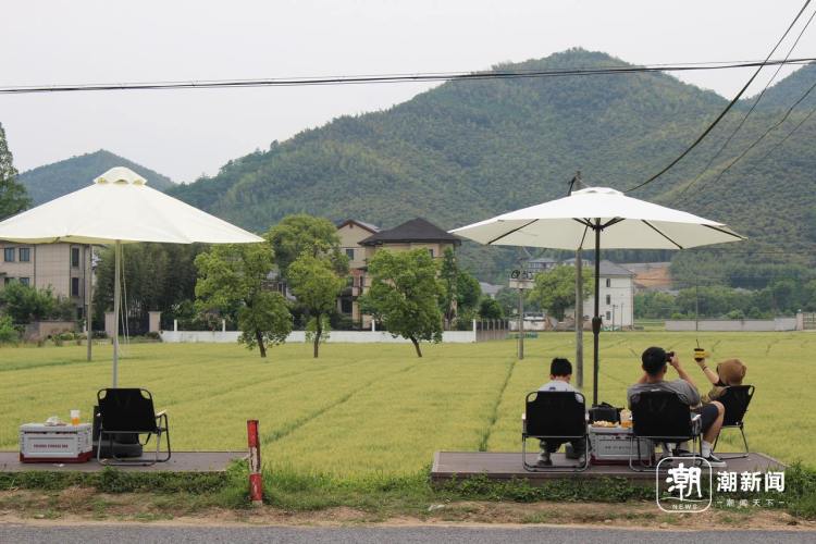 浙江乡村新味道——“村咖”正火 “面包”又旺
