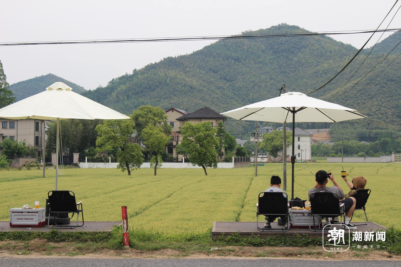 浙江乡村新味道——“村咖”正火 “面包”又旺