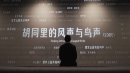 【老外在中国｜爱上中国很easy】听见北京，爱上北京！