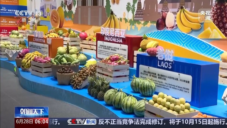 降低通关成本、促进产供链延伸  RCEP亮“成绩单”