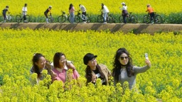 湖南双峰以花为媒，赋能乡村振兴