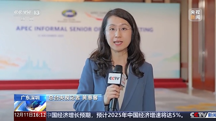 视频丨共话明年合作主题与重点 亚太经合组织研讨会举行