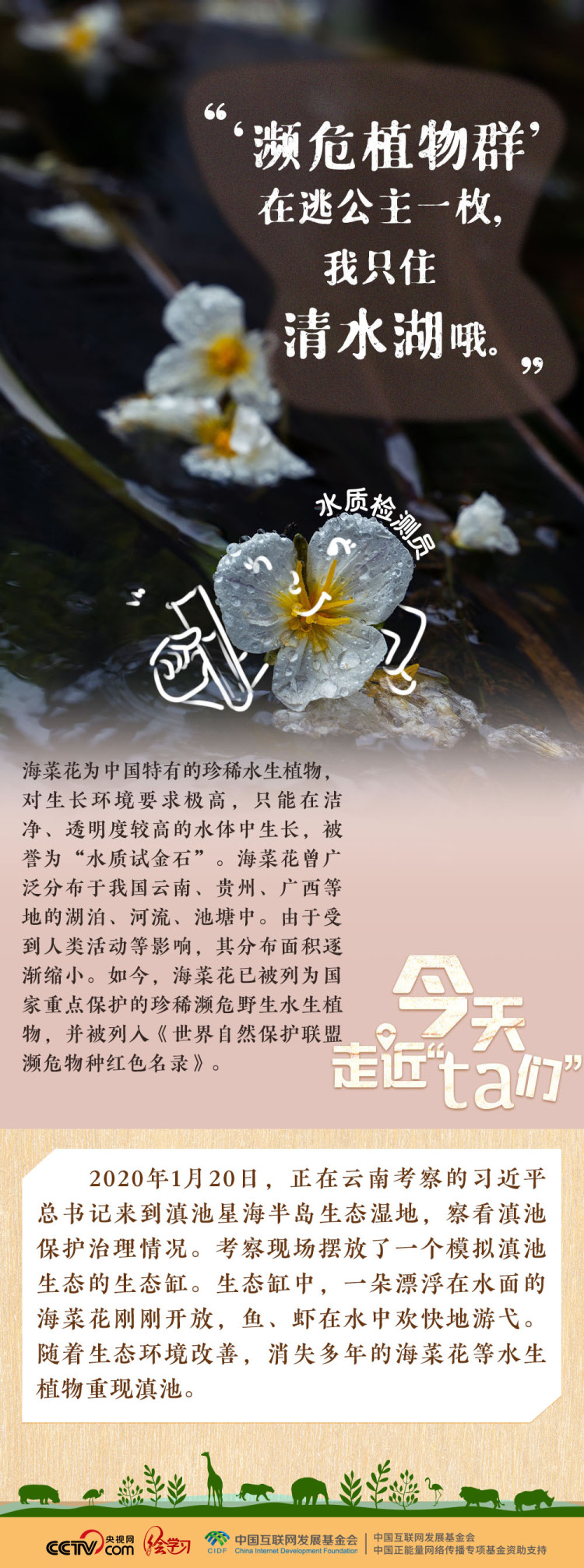 天天学习｜习近平特别关注的“TA们”