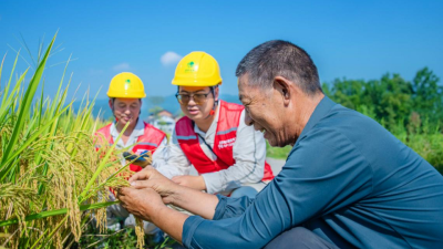 Changshou, Chongqing: Reliable Power Supports Bumper Rice Harvest