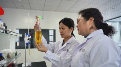 小紫苏闯出大市场 鄂伦春特色农产品出口忙