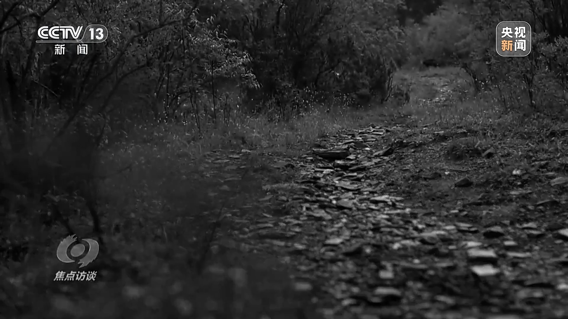 焦点访谈丨英雄的精神永不褪色