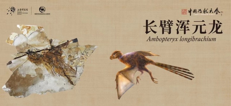 首次汇聚一堂 118件代表性恐龙标本和重要模型将在上海展览