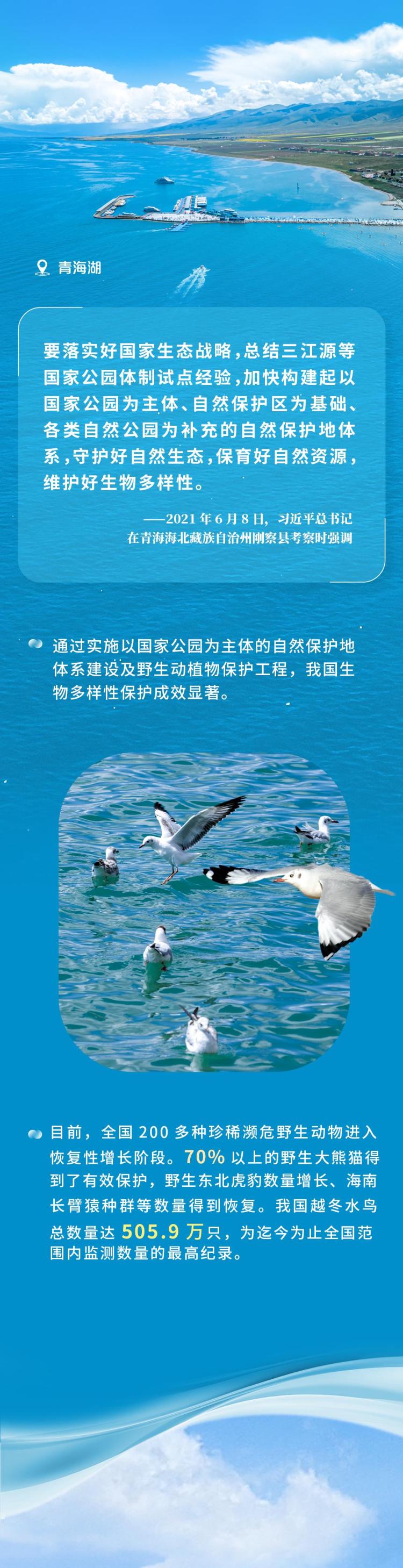近观“两山”丨多彩中国