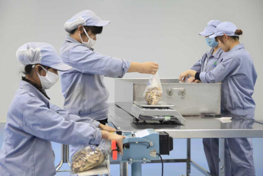 From the Hometown of Sun Simiao to a Modern City of Traditional Chinese Medicine Wellness: Tongchuan's Millennial Medical Heritage Lives On_fororder_图片5